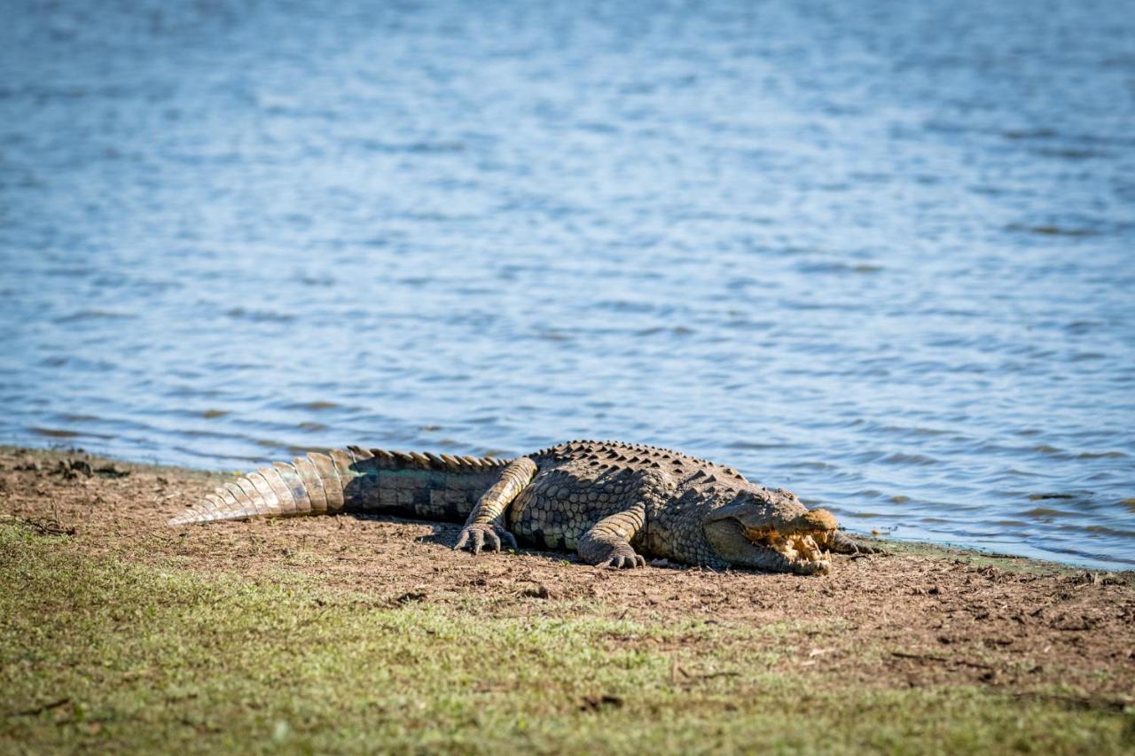 Nkuhlu Tented Camp Skukuza Dış mekan fotoğraf