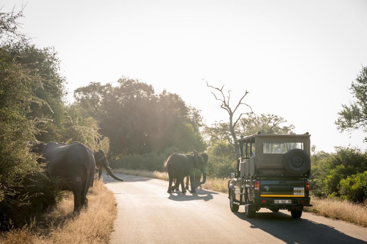 Nkuhlu Tented Camp Skukuza Dış mekan fotoğraf