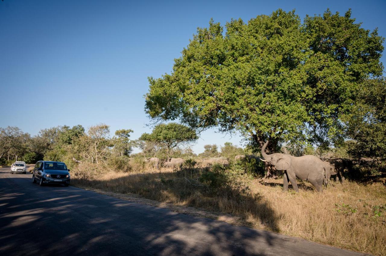 Nkuhlu Tented Camp Skukuza Dış mekan fotoğraf