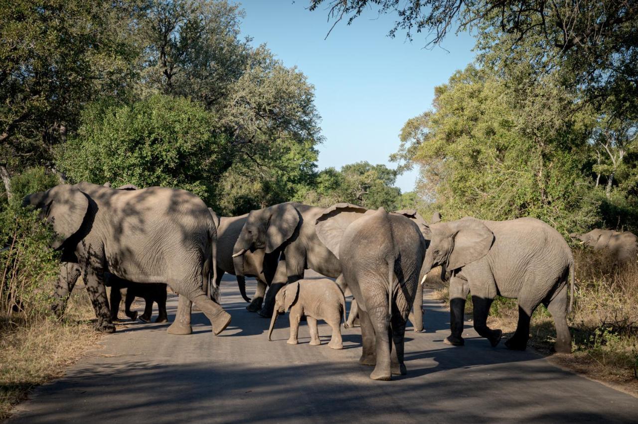 Nkuhlu Tented Camp Skukuza Dış mekan fotoğraf