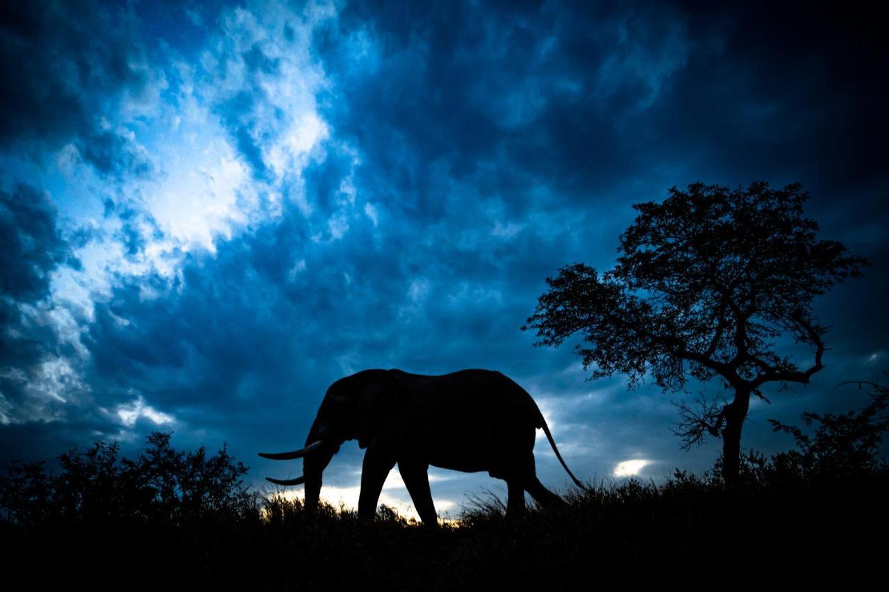 Nkuhlu Tented Camp Skukuza Dış mekan fotoğraf