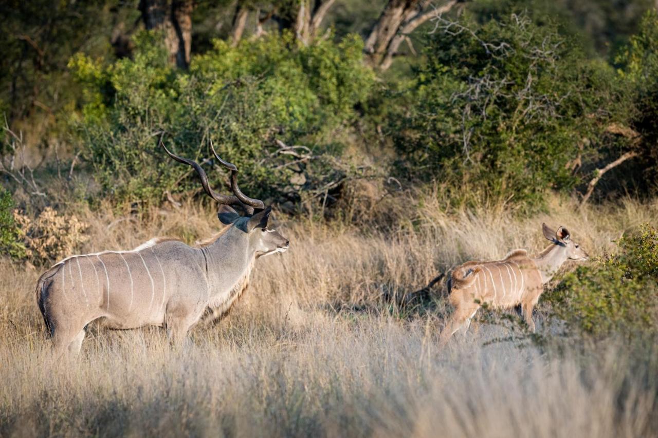Nkuhlu Tented Camp Skukuza Dış mekan fotoğraf