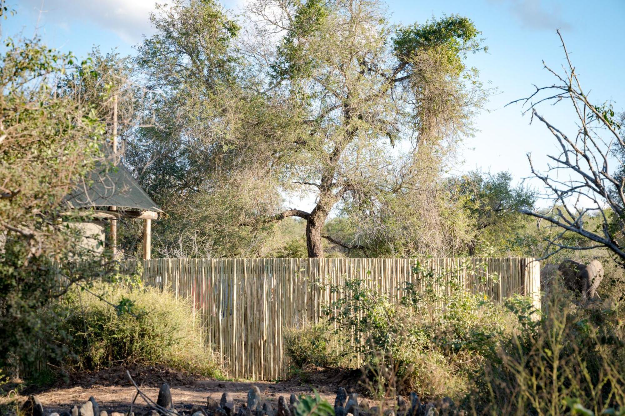 Nkuhlu Tented Camp Skukuza Dış mekan fotoğraf