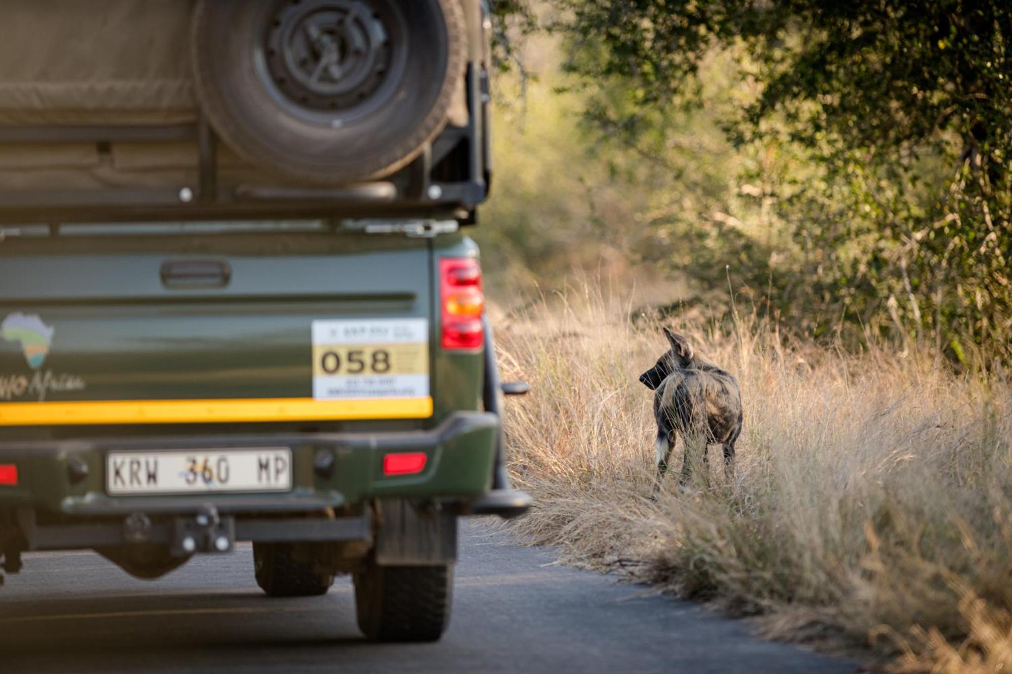 Nkuhlu Tented Camp Skukuza Dış mekan fotoğraf